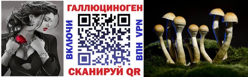 Галлюциногенные грибы Cubensis  МЕГА ссылки  Покровск 